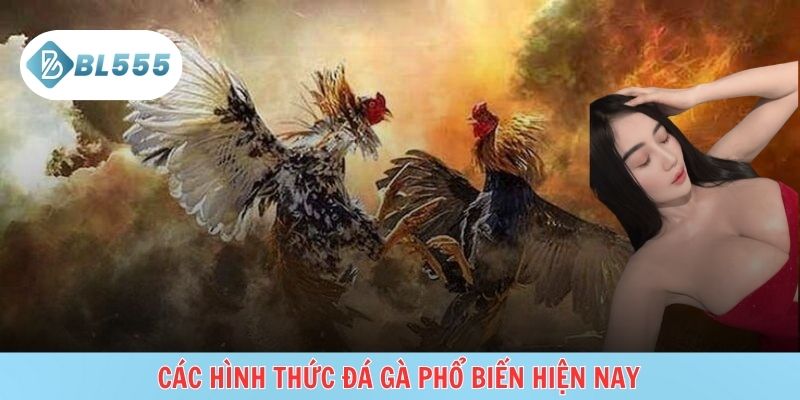 Sân chơi đa dạng hình thức, phù hợp nhiều người chơi