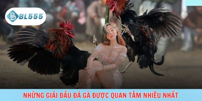 Giải đấu cực lớn, kèo hấp dẫn, xem đông