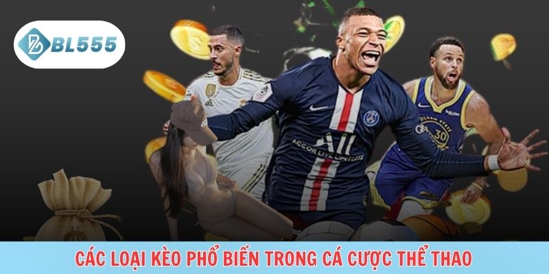 Hệ sinh thái cá cược đa dạng, nhiều môn, nhiều lựa chọn